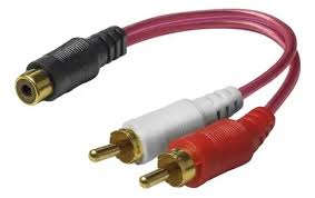 Y´S 1 HEMBRA DOS MACHOS DXR - RADOX 